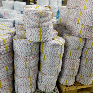 ダンラインポリプロピレンロープ3-4ストランドツイストPP 6MM-18MM包装用ロープ - Product Image 2