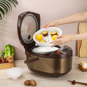 Nouveauté : <span class=keywords><strong>Cuiseur</strong></span> à riz électrique en acier inoxydable 4/5L - Vente en gros, appareil de cuisine multifonctionnel automatique et portable - Product Image 5