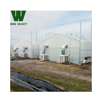 Rumah Kaca Terlaris dari Baja Galvanis 8x30m dengan Atap PC Model Kupu-kupu dan Ventilasi, Dilengkapi Tirai Penahan Panas 55%