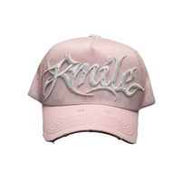 Casquettes de baseball personnalisées en gros avec logo, nouvelles casquettes de sport unies, casquettes de baseball en coton OEM avec logo brodé, casquettes de baseball à 5 panneaux