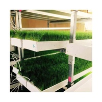 Système d'Hydroponie Automatique pour le Fourrage du Bétail/Des Moutons - Machine de Culture d'Herbe d'Orge de 7 Jours