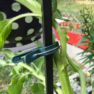 Juego de clips para plantas de jardín / clip para jardín / clip de plástico para plantas de tomate al por mayor - Product Image 6