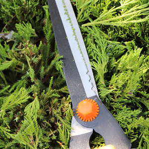 Tijeras para setos de acero al carbono con dientes de sierra telescópicas de 68-86 cm, mango de plástico naranja, para cortar arbustos, ramas y malas hierbas manualmente. - Product Image 1