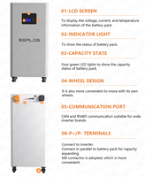 Paket Baterai Lithium Ion Seplos MASON 51.2V 230Ah 280Ah 314Ah 15KWh 16KWh dengan BMS V19