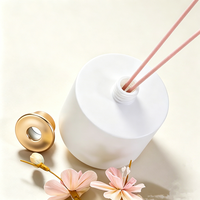 Diffuseur de parfum en verre à bâtonnets d'essences naturelles longue durée 500 ml, sans alcool, pour la maison, le bureau et l'hôtel