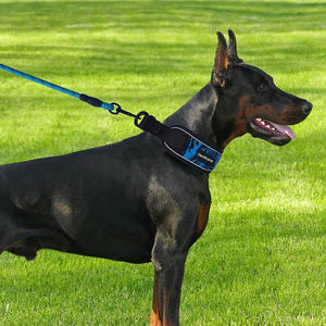 Fabricante de collares para perros, <span class=keywords><strong>collar</strong></span> de perro reflectante ancho con patrón personalizado de malla suave cómodo acolchado de neopreno para perros grandes - Product Image 6