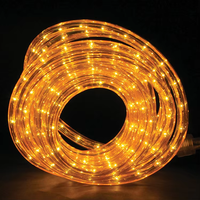 IP65 Warmweiße LED-Neonlichterkette für den Außenbereich, wasserdicht