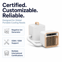 Climatiseur mobile portable de type split 1m 5000 BTU AC 220V avec tuyau de raccordement, sans installation requise, économe en énergie, sans drainage