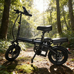 Bicicleta Eléctrica Económica Plegable con Marco de Aluminio, Batería de Litio 48V-60V, Motor de Cubo Trasero de 400W, 3 Velocidades, Rueda de 14 Pulgadas, Alcance de 60KM - Product Image 5