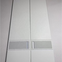 Dressing moderne sur mesure avec panneaux en cuir, cloison en verre et éclairage LED, rangement personnalisé