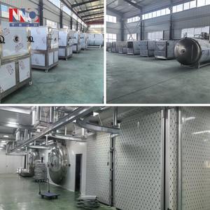 Liofilizador de Mango de Grado Alimenticio <span class=keywords><strong>INNOTECH</strong></span> con Material SUS304 y Calentamiento Eléctrico para la Preservación del Sabor Natural - Product Image 4