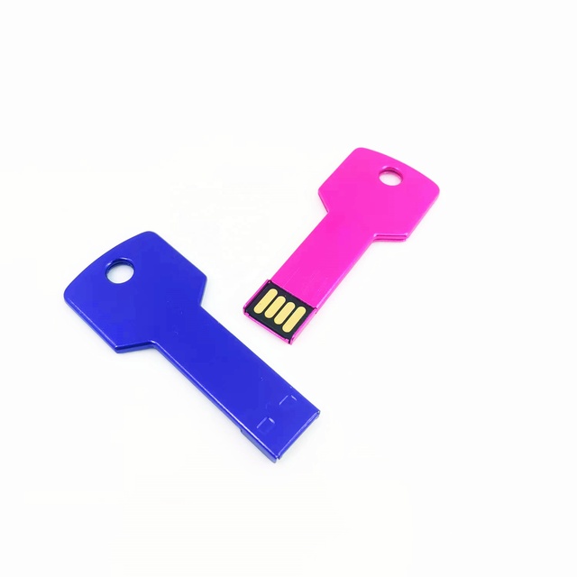 Custom Wholesale Key Shape Metal USB 2.0 Flash Drive 128MB 256MB 4GB 8GB 16GB 32GB 128GB Custom Colors OEM Logo Promotional Gift