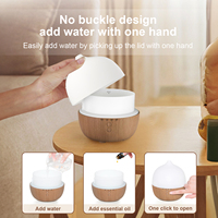 Diffuseur d'huiles essentielles Vapeur Diffuseur électrique personnalisé Fabriqué en Chine Humidificateur à ultrasons Offre Spéciale sur le marché