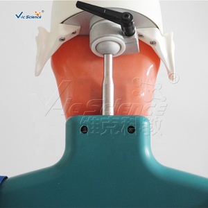Maniquí de Cabeza para Prácticas de Enseñanza en Odontología, Equipo de Entrenamiento Dental, Simulador de Cabeza Fantasma con Simulación de Hombros y Cuerpo - Product Image 6