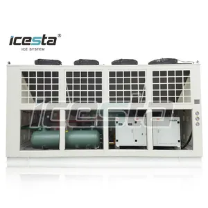 Customized Air/Water cooled Parallel Rack cold room condenser unit