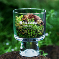 Agrandissement Pine Moss Cup Mori-Series Non-Fire Aromatherapy Parfum longue durée pour diffuseur de roseau Set Home Soy Wax