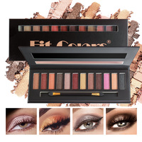 Palette de fards à paupières minéraux 12 couleurs, mat et scintillant, résistante à l'eau, format universel, 12g, cosmétique
