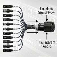 Câble multipaire audio XLR 20M 37 broches avec connecteur femelle verrouillable vers 12 canaux mâles, câble de dérivation pour boîtier de scène avec connecteur femelle verrouillable