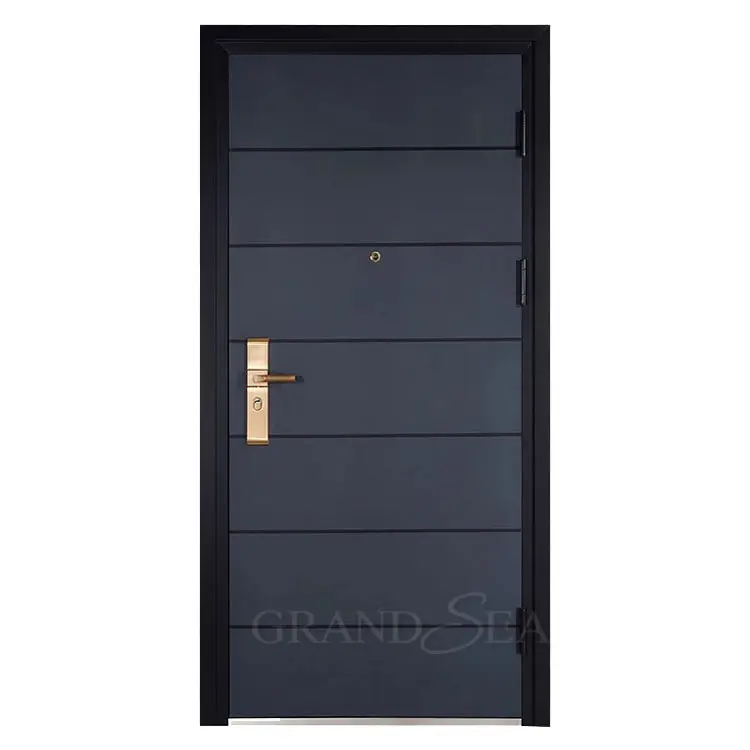 South Africa Style Steel Thickness 2.5mm Fire Rated Exterior House Door