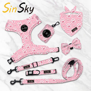 SinSky moda parche de dibujos animados impreso perro arnés conjunto diseñadores personalizados logotipo personalizado lujo mascota perro arnés Correa y <span class=keywords><strong>Collar</strong></span> - Product Image 1