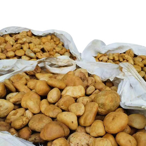 Compra Mantillo y Guijarros Centro Jardín Piedras Y. Piedra Guijarro Blancanieves Natural-1- 2 cm - 20 Kg - Product Image 6