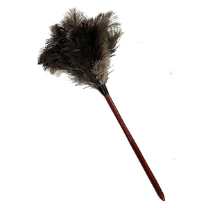 Manche en bois personnalisé autruche naturelle poulet dinde plumeau rétractable dépoussiérage avec rallonge - Product Image 5