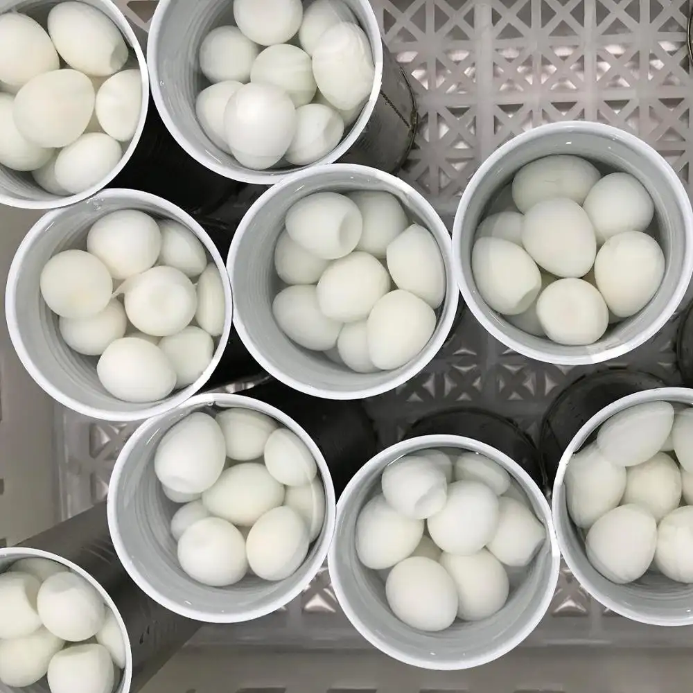 Chinese canned quail eggs price