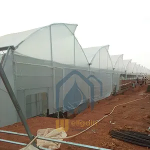 Greenhouses Structure With Hydroponic System