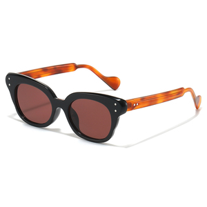 Gafas de Sol Personalizadas con Diseño de Ojo de Gato para Mujer, Modelo 2026, Montura de PC, Nueva Moda - Product Image 3