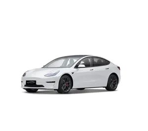 Modello 3 Tesla marca 4WD miglior motore ad alte prestazioni caldo in vendita