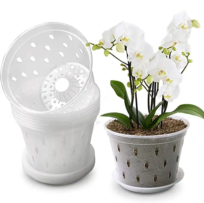 Olla de orquídeas de plástico transparente de alta calidad, bandeja con agujeros y platillo, 6 y 7 pulgadas, para uso en interiores y exteriores