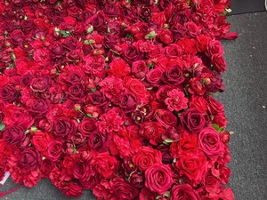 Fiore di alta qualità sfondo di nozze rosso bordeaux rose vero tocco rotolamento fino parete di fiori per la decorazione - Product Image 2