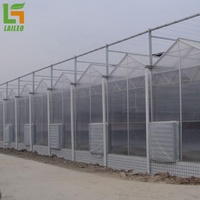 Moderne Commerciële Industrie Multi-Span Agrarische Kassen Gegalvaniseerd Stalen Frame Hydroponic Feature Pe Materiaal Voor Plant