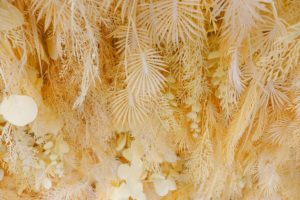 SN-D011 la nuova seta artificiale foglie Pampas erba produttore di pareti fiori artificiali muro - Product Image 5