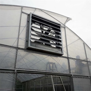 Tropical Tunnel <strong>Plastic</strong> <strong>Greenhouse</strong> With Roof Vents - Product Image 5