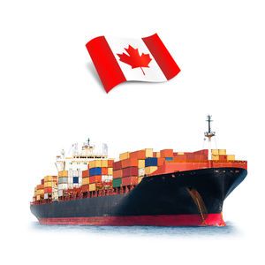 Logística de Alta Qualidade DDP DDU EUA FBA Transporte Aéreo Transporte Marítimo por Caminhão Entrega da China para EUA Canadá Itália Agente - Product Image 4