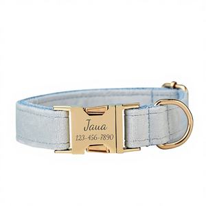 Collier pour chien personnalisé bleu clair Veet avec nom gravé - Designs colorés pour mariage - Product Image 1