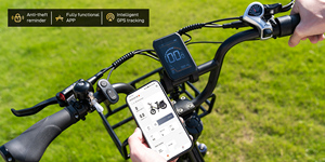 Vélo électrique KOOLUX X8 20" 48V 65Ah à double moteur, batterie lithium, pneus larges, VTT électrique tout-terrain - Product Image 2