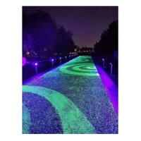Pierres fluorescentes qui brillent dans le noir, décoration de jardin, pierres lumineuses