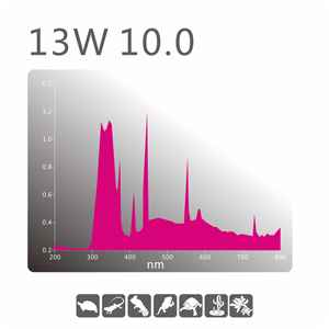 <span class=keywords><strong>Lampe</strong></span> fluorescente spirale UVA UVB 13W 26W <span class=keywords><strong>pour</strong></span> <span class=keywords><strong>terrarium</strong></span> de reptiles, E26 E27, <span class=keywords><strong>pour</strong></span> reptiles de jungle et de désert, boîte d'élevage de dragons barbus - Product Image 3