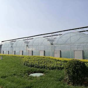 Multi span casa verde marcos de acero galvanizado con sistema de refrigeración para el cultivo de caracoles - Product Image 6