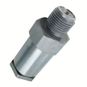 Phụ tùng động cơ Diesel, van giảm áp đường ray chung 1110010029, van giảm áp nhiên liệu - Product Image 2