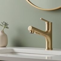 Robinet de lavabo de salle de bain de luxe en laiton doré brossé, mitigeur monocommande avec douchette double fonction pour villa