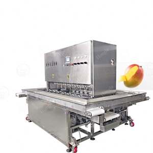 Prix d'usine grande machine à éplucher les fruits carotte mangue - Product Image 2