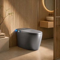 WC intelligent gris mat monobloc allongé sans réservoir avec bidet à chasse automatique, siège chauffant et écran LED pour salle de bain
