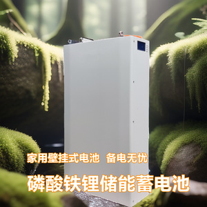 LiFePO4แบตเตอรี่เก็บพลังงานแบบติดผนัง200Ah 51.2V พร้อมพอร์ตสื่อสาร Rs485สำหรับใช้ในบ้านนอกกริด - Product Image 4