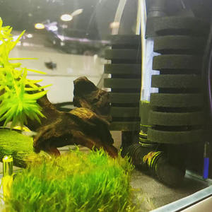 <span class=keywords><strong>Aquarium</strong></span> Trouwe Vrienden XY-2822 Dubbele Kop Biochemische Katoenen Filter <span class=keywords><strong>Aquarium</strong></span> Pneumatische Spons Muur Opknoping Woonkamer 220V - Product Image 4