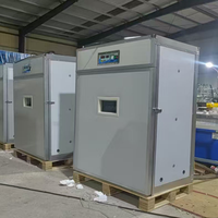 Incubateur d'œufs solaire 528 places avec contrôle automatique de la température, taux d'éclosion élevé, pour l'élevage avicole en ferme