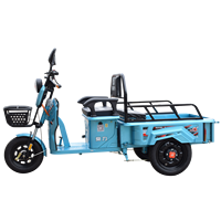 Chang li – Mini Scooter électrique à trois roues, Tricycle avec toit pour adulte, noir, vert, argent, corps moteur acide, puissance B