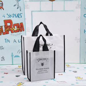 Bolsas <span class=keywords><strong>TDG</strong></span> con Logotipo Impreso Personalizado, <span class=keywords><strong>Bolsa</strong></span> de Compras Reutilizable Ecológica de Tela PP, Tamaño Mediano, Diseño de Dibujos Animados - Product Image 3